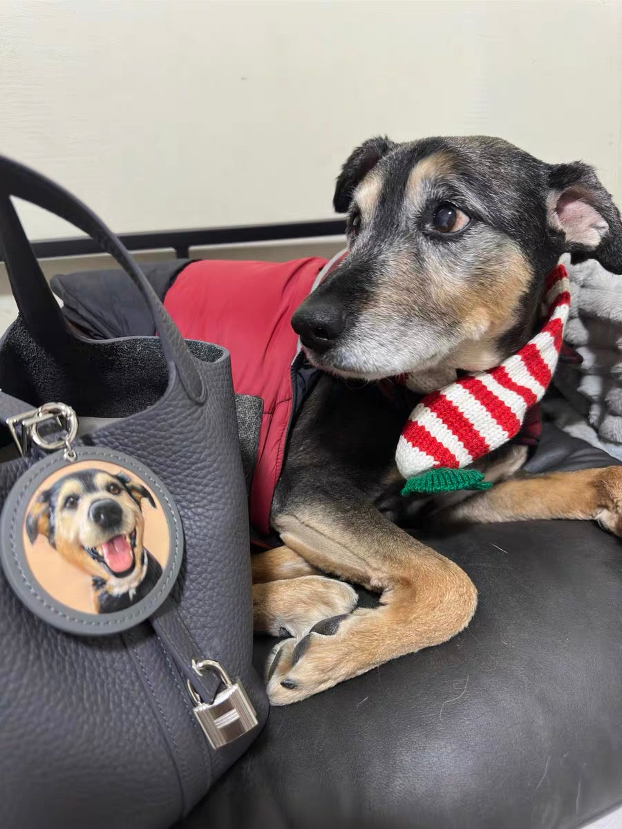 Leather carved pet portrait keychain in use - attached to a bag