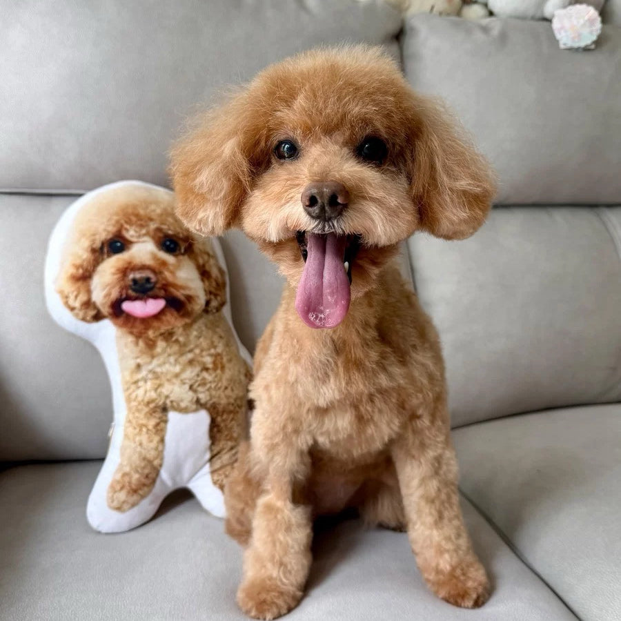 The Layered Memories Portrait